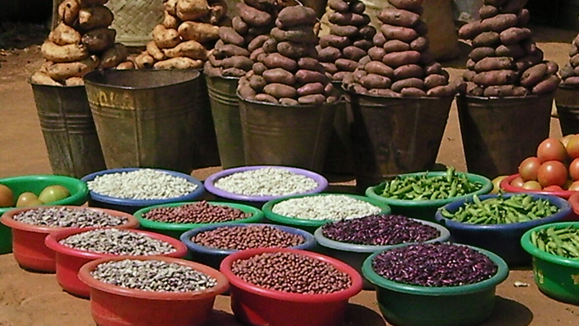 Produce displayed at a rural Kenyan roadside market, symbolizing the Mwandani International renewal and the potential for agricultural value addition.