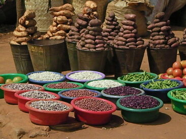 Produce displayed at a rural Kenyan roadside market, symbolizing the Mwandani International renewal and the potential for agricultural value addition.